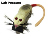 8" ADULT POSSUM WAKE BAIT